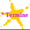 * Termine